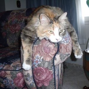 Meet your Posher, Leah